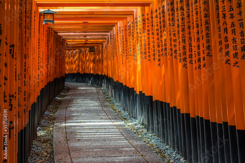 Wallpaper Mural Torii at Fushimi Inari Taisha Shrine, Kyoto, Japan Torontodigital.ca