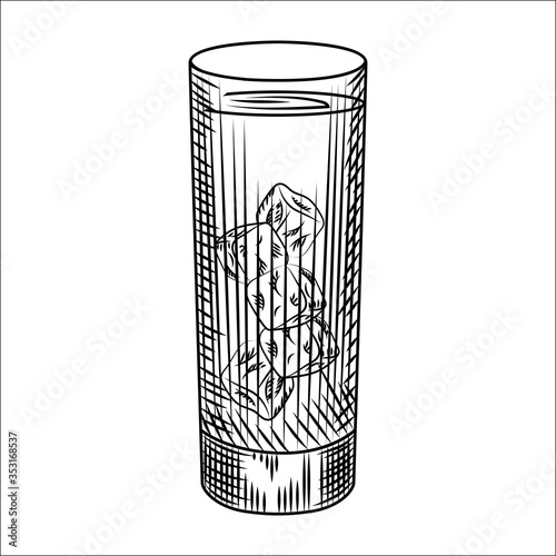 Highball glass of ice water. Glass of lemonade and ice cubes.