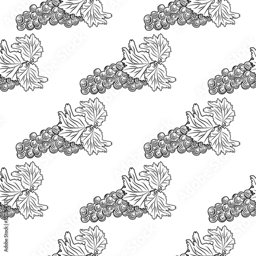 Hand drawn grapes seamless pattern. Bunch of grapes on white background.
