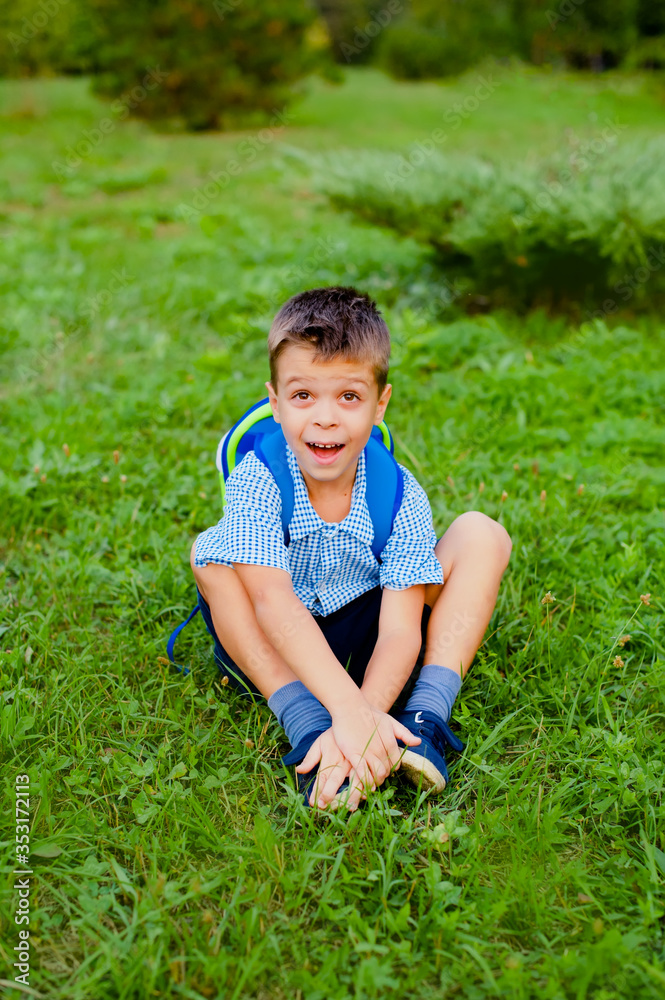 custom made wallpaper toronto digitalA schoolboy sits on the green grass in the park and look up.
