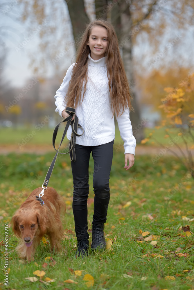 Girl in a white sweater walks with a dog spaniel in the park