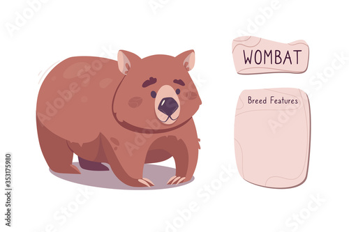cute marsupial beast, wombat vector. Funny burrowing animal from the Australian series. Illustration for kids books, encyclopedias, posters. Fluffy pet in cartoon style isolated on white background.