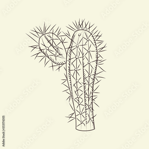 Stetsonia cactus isolated on light background. Wild cacti sketch. Engraving vintage style. photo