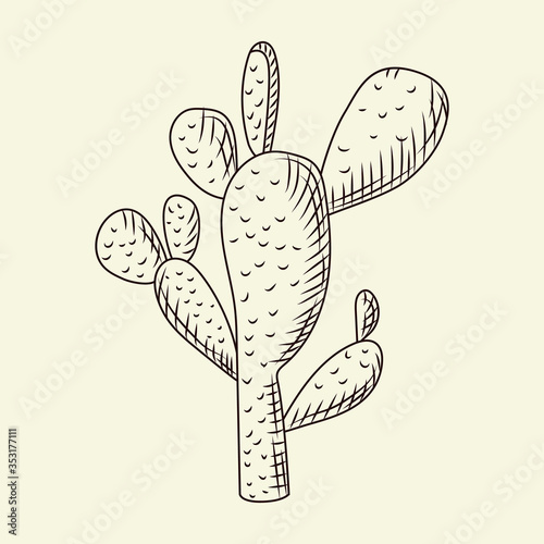 Prickly pear cactus isolated on light background in hand drawn style. Wild cacti sketch. Engraving vintage.