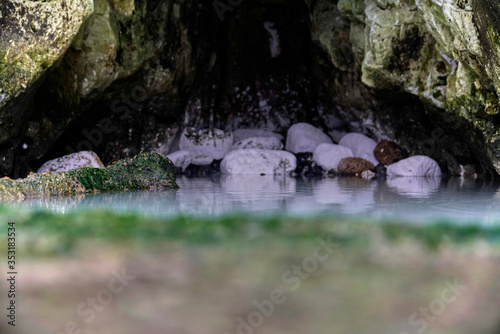 Seaweed cliff in the beach