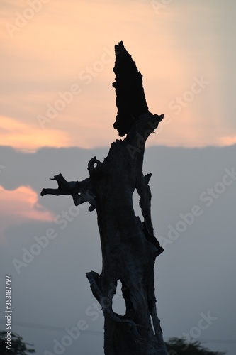 silhouette of a statue of god