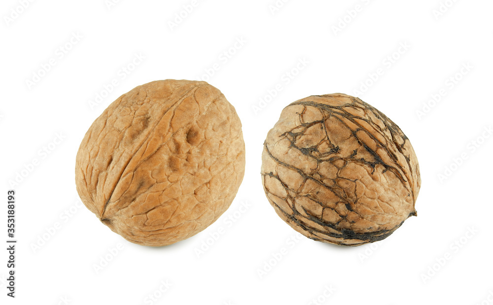 Two whole walnuts closeup isolated on white background Two whole walnuts closeup isolated on white background