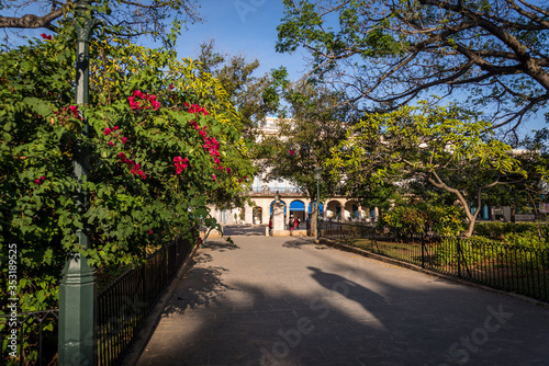 Plaza de Armas, the oldest square in the Old City Centre, Havana Vieja, Havana, Cuba photo