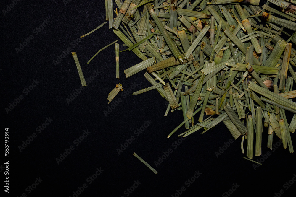 Horsetail on a black background, medicinal plant Horsetail on a black background, medicinal plant