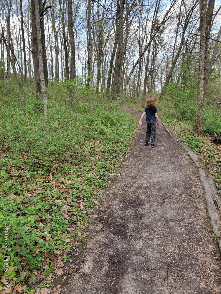 Obraz premium walking in the woods