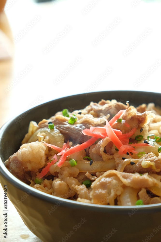 Gyudon,japanese beef bowl traditional dish made from thinly sliced beef,rice, onion, soy sauce Gyudon,japanese beef bowl traditional dish made from thinly sliced beef,rice, onion, soy sauce