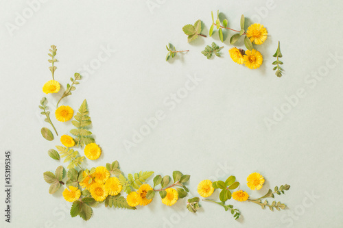 spring yellow flowers on paper background