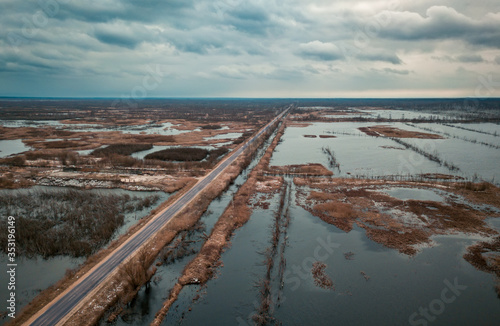 Wallpaper Mural Flooded birch forest. Swamps under the autumn sky. Torontodigital.ca