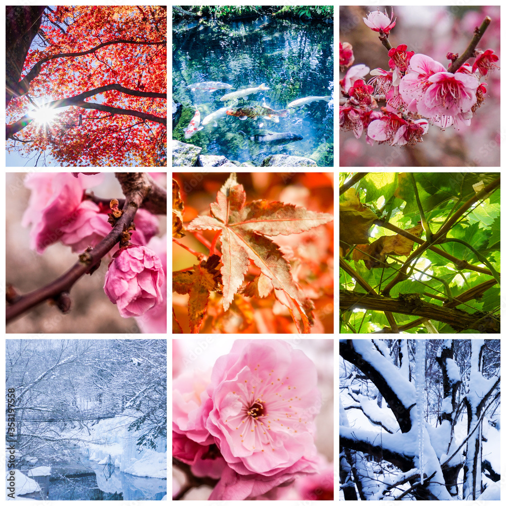 春夏秋冬の背景画像 Stock Photo Adobe Stock