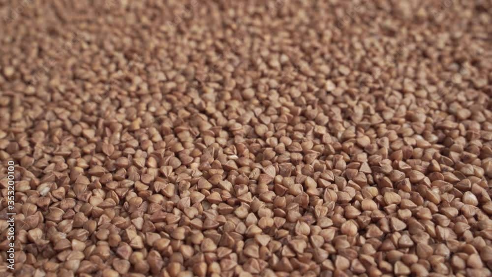 4K. Background of buckwheat. Fried buckwheat. Useful properties of buckwheat. Garnish. Ingredient, product, cook. Agribusiness, crop production, organic farming. Dietary product. 4K. Background of buckwheat. Fried buckwheat. Useful properties of buckwheat. Garnish. Ingredient, product, cook. Agribusiness, crop production, organic farming. Dietary product.