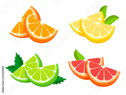 Bright fresh half of orange, lemon, lime and grapefruit isolated on white background. Citrus fruit and leaves. Vegan food vector icons in a trendy flat style. Healthy food concept.	