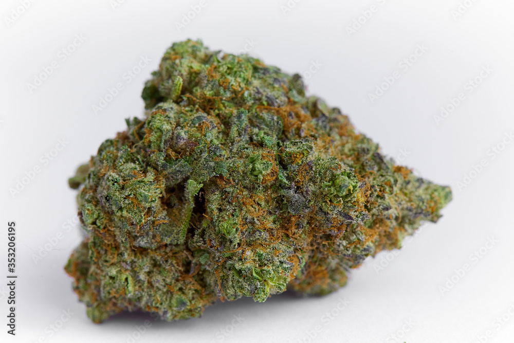 close up macro photo of high quality greenhouse grown medical and and recreational marijuana indica strain marijuana bud isolated on white background close up macro photo of high quality greenhouse grown medical and and recreational marijuana indica strain marijuana bud isolated on white background