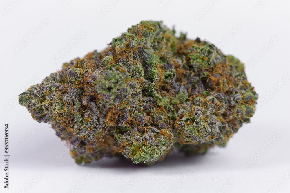 close up macro photo of high quality greenhouse grown medical and and recreational marijuana indica strain marijuana bud isolated on white background close up macro photo of high quality greenhouse grown medical and and recreational marijuana indica strain marijuana bud isolated on white background