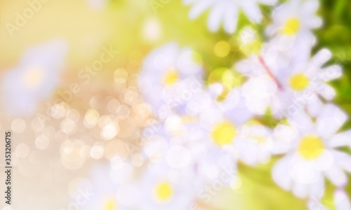 Spring, summer background. Blurred blossom