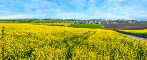 Wonderful panoramic view on the rapeseed field waves from above, and the city...