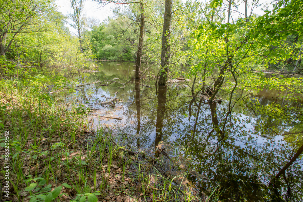 spring floods, spilled forest lake