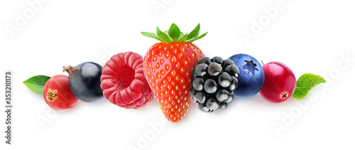 Isolated berries. Red and black currants, raspberry, strawberry, blackberry, blueberry and cranberry in a line isolated on white background