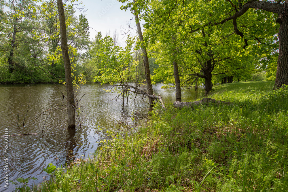 spring floods, spilled forest lake