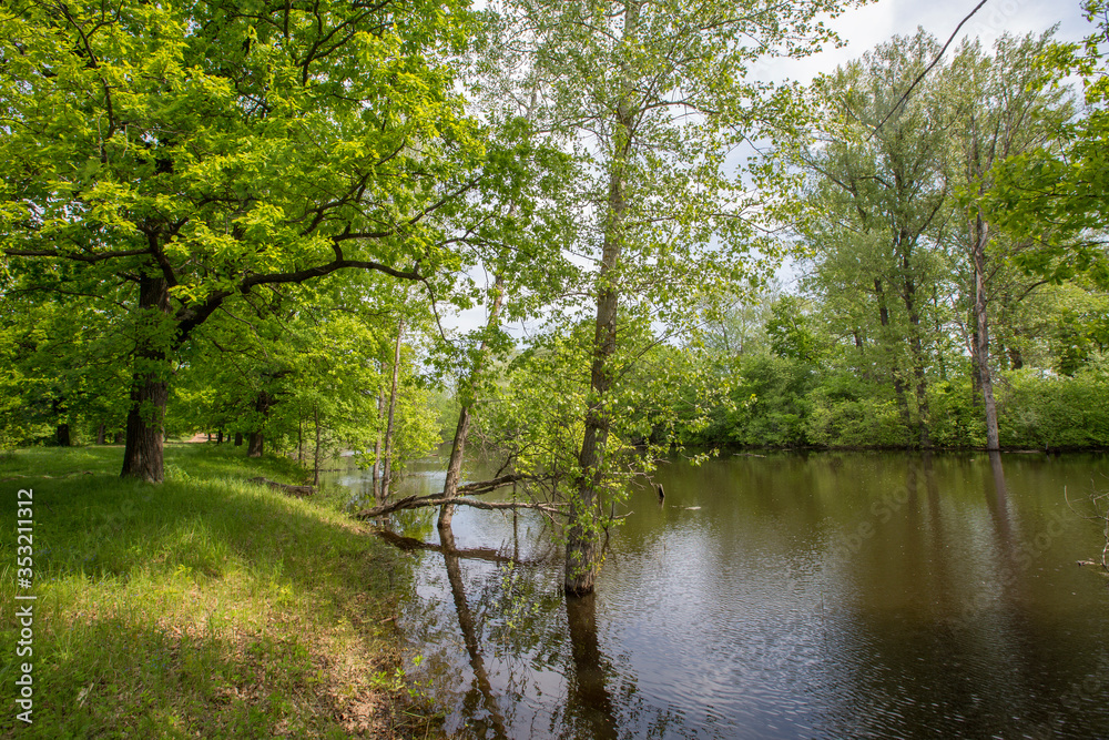 spring floods, spilled forest lake spring floods, spilled forest lake