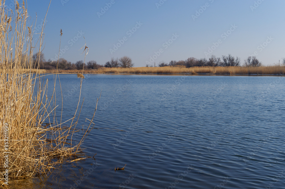 Abnormally warm and snowless winter 2020 in the Rostov region. River Mertvy Donets, Russia Abnormally warm and snowless winter 2020 in the Rostov region. River Mertvy Donets, Russia
