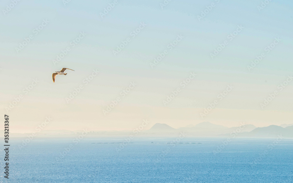 Sea water texture, Summer background, Travel concept Sea water texture, Summer background, Travel concept