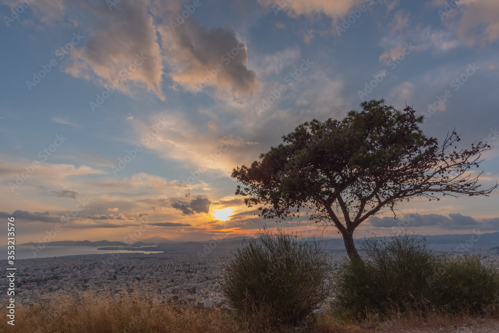 Sunset in Greece from a mountain in Athens near to a tree Sunset in Greece from a mountain in Athens near to a tree