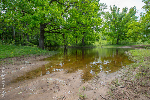 spring floods, spilled forest lake