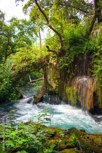 Current of the river and a tree in the moss. Upper Duden Waterfalls, Turkey, Antalia. Travel photography