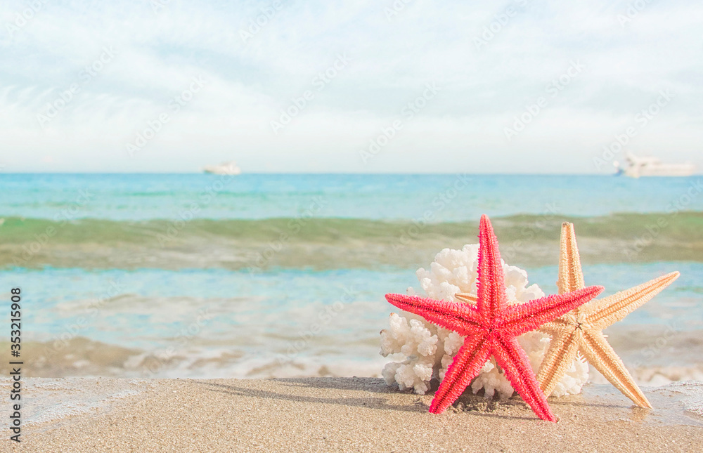 sea shells on tropical sand turquoise sea, summer vacation travel concept sea shells on tropical sand turquoise sea, summer vacation travel concept