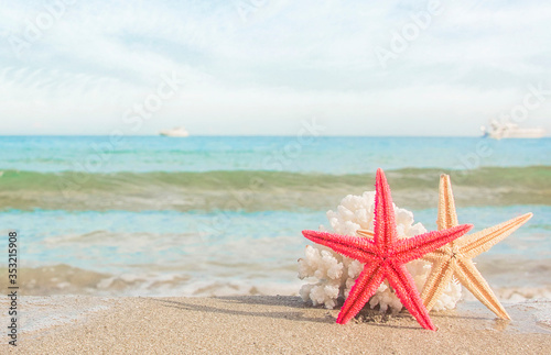 sea shells on tropical sand turquoise sea  summer vacation travel concept