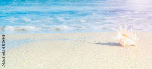 sea shells on tropical sand turquoise sea, summer vacation travel concept