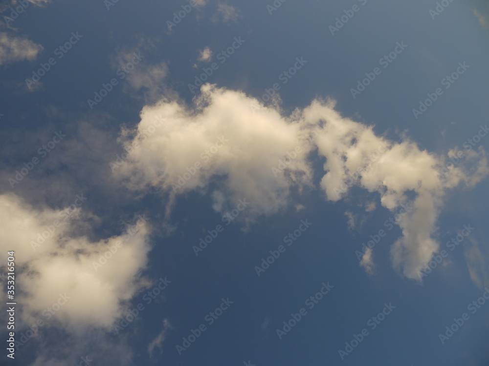 Fototapeta premium Blüten im Mai