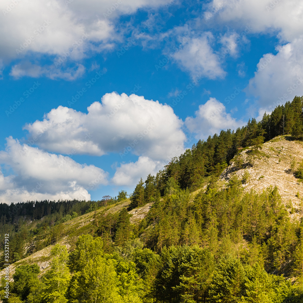 Scenery landscape with green forest and high rocky mountain under blue sky with white fluffy ?umulus clouds. sunny day Scenery landscape with green forest and high rocky mountain under blue sky with white fluffy ?umulus clouds. sunny day