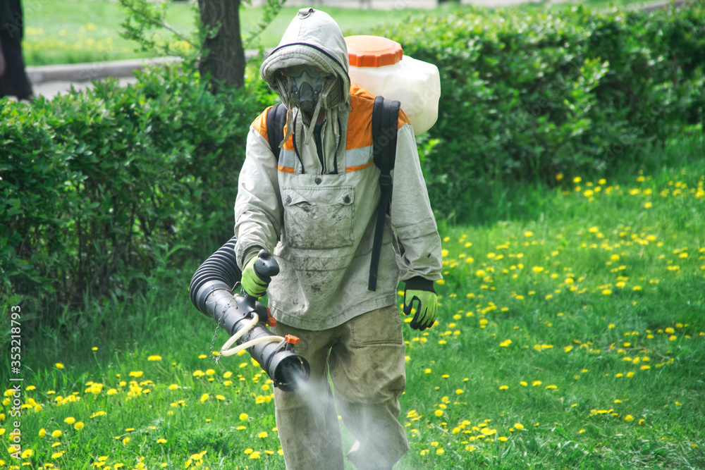 A male worker in a respirator and a light protective suit conducts sanitary and chemical treatment in a garden or park. Spraying a repellent or antiviral compound on the street