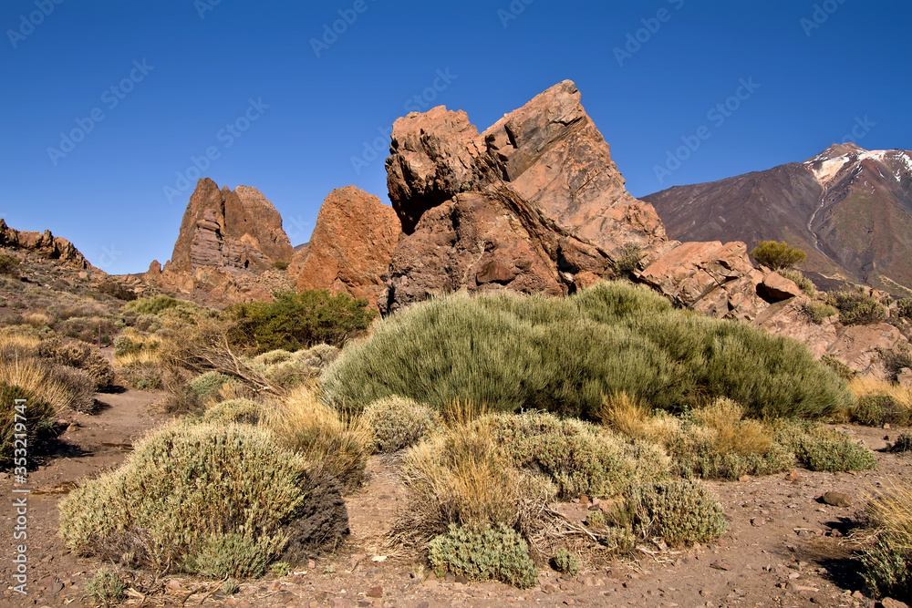 Fototapeta premium Mountain Views of Tenerife