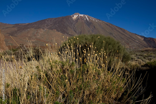 
Mountain Views of Tenerife