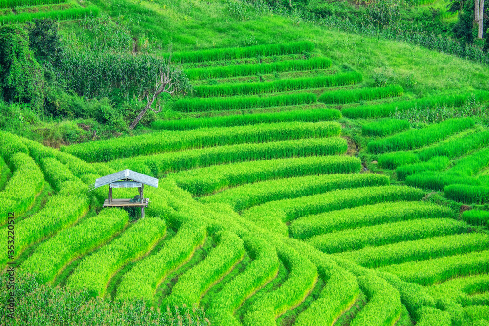 Pa Bong Piang Rice Terraces in Mae Chaem, Chiang Mai, Thailand.