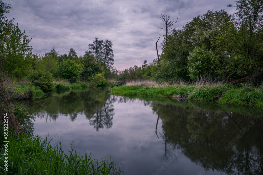 Jeziorka river during cloudy morning at spring near Piaseczno, Poland