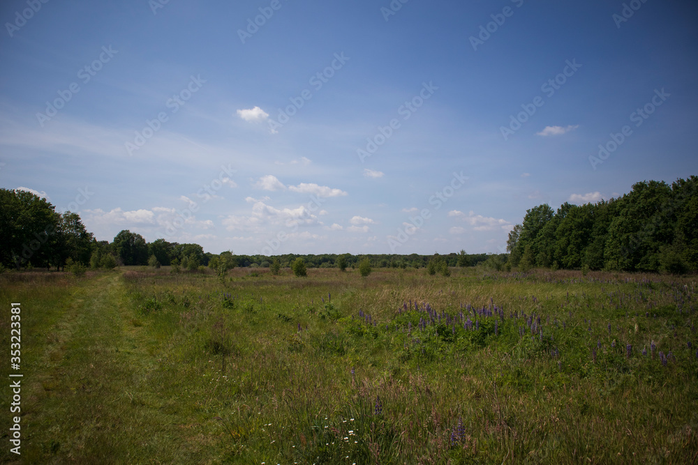 Fototapeta premium landscape with blue sky and clouds