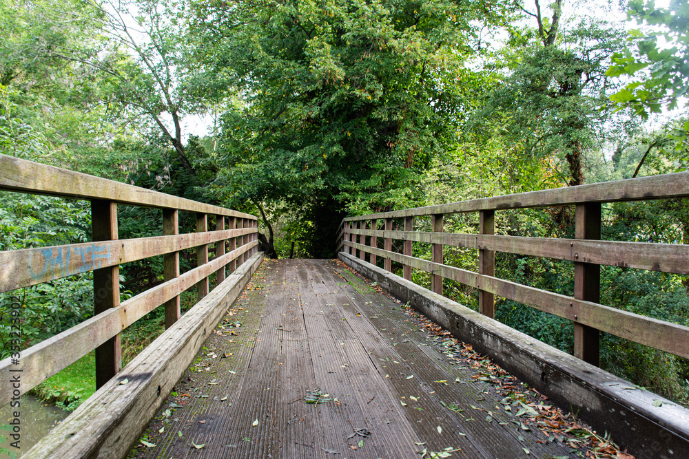 wooden bridge in the forest