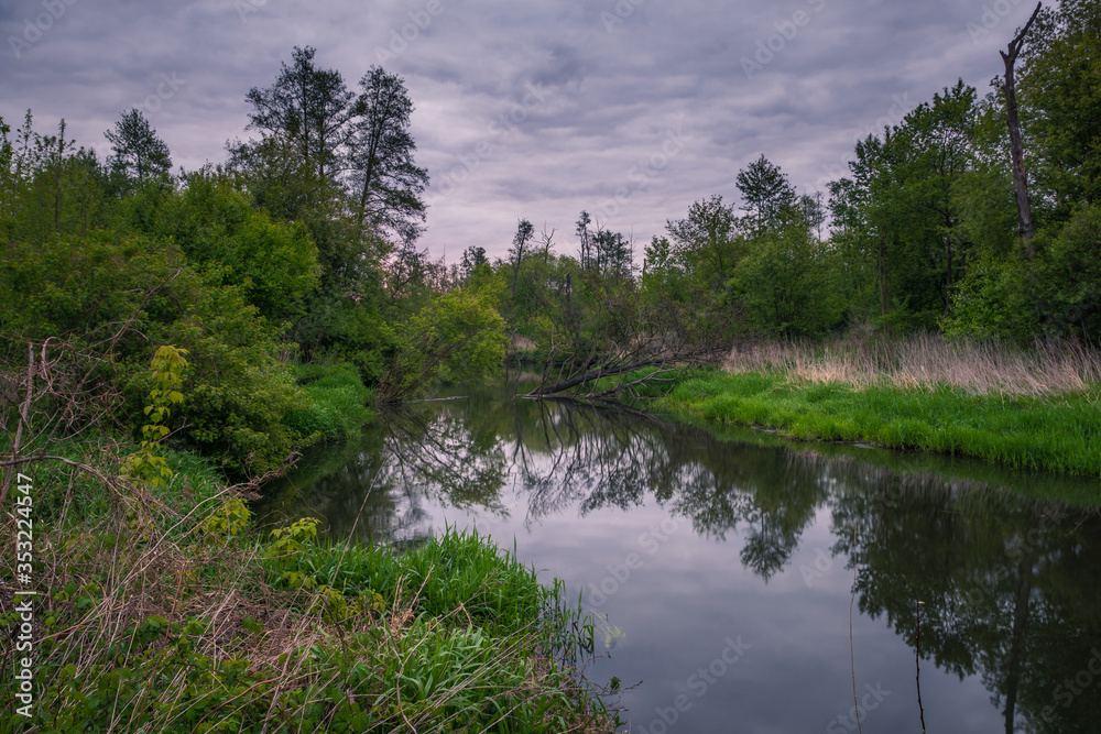 Jeziorka river during cloudy morning at spring near Piaseczno, Poland