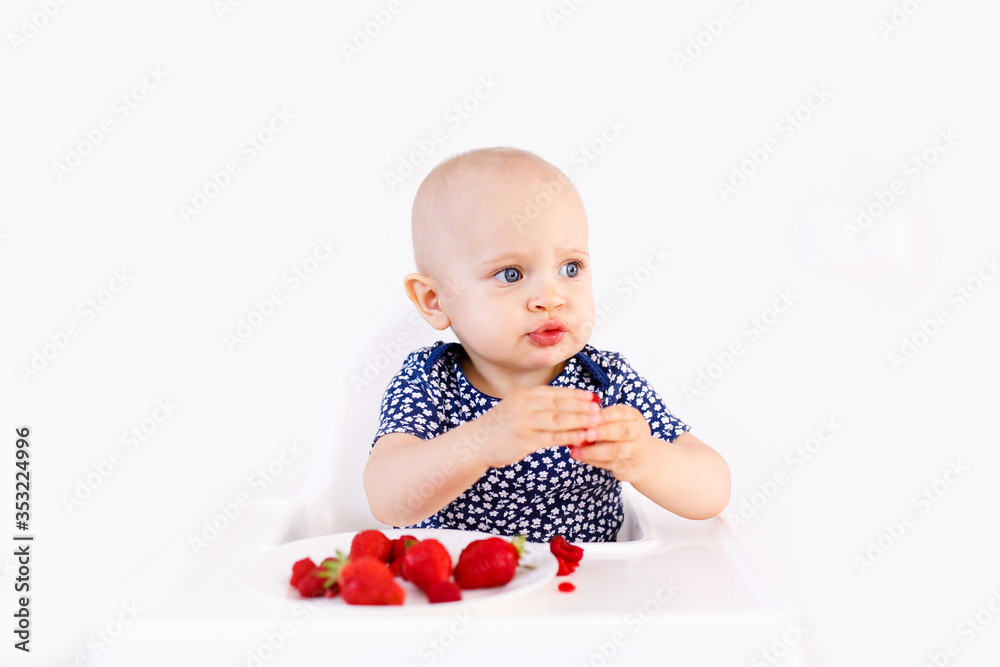 Infant girl sitting in high child's chair eating fruits on a white background. Baby food concept, space for text Infant girl sitting in high child's chair eating fruits on a white background. Baby food concept, space for text