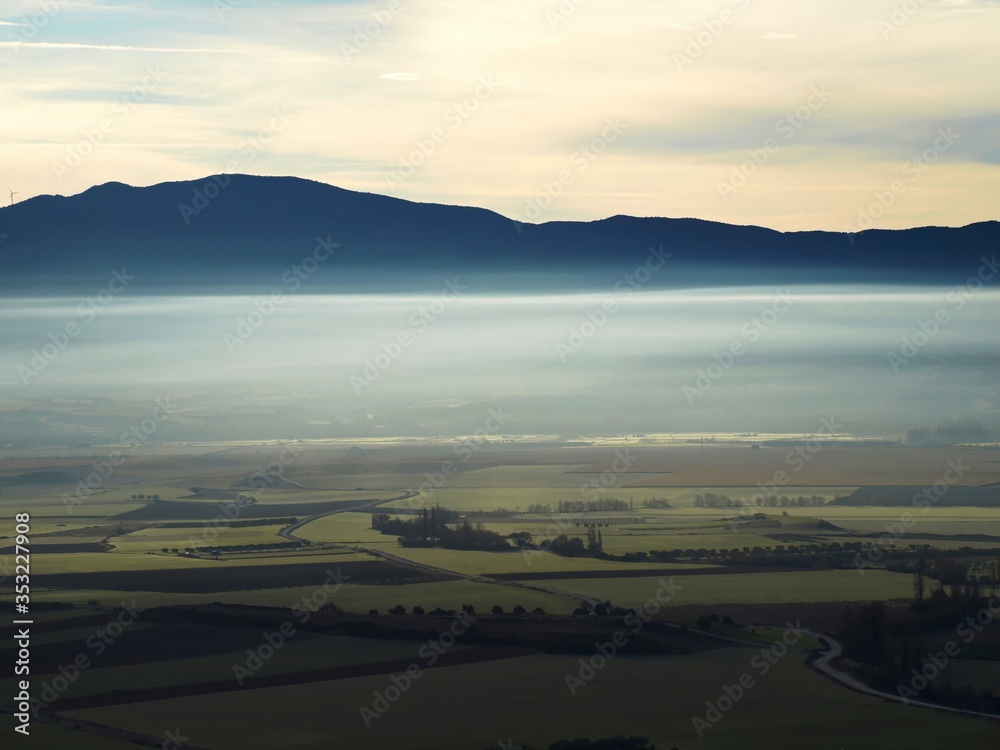 Misty morning