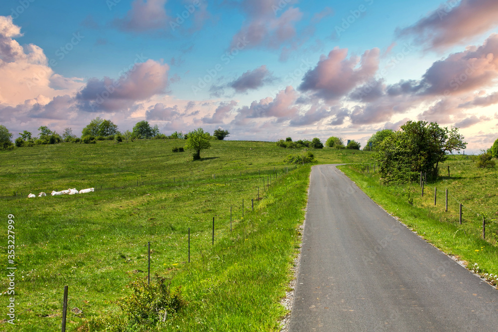 panoramic view of green fields and trees and small road at sunset