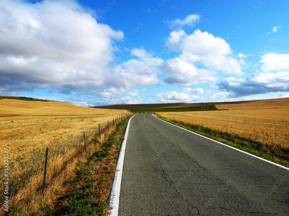 Fototapeta premium Rural road on a sunny day